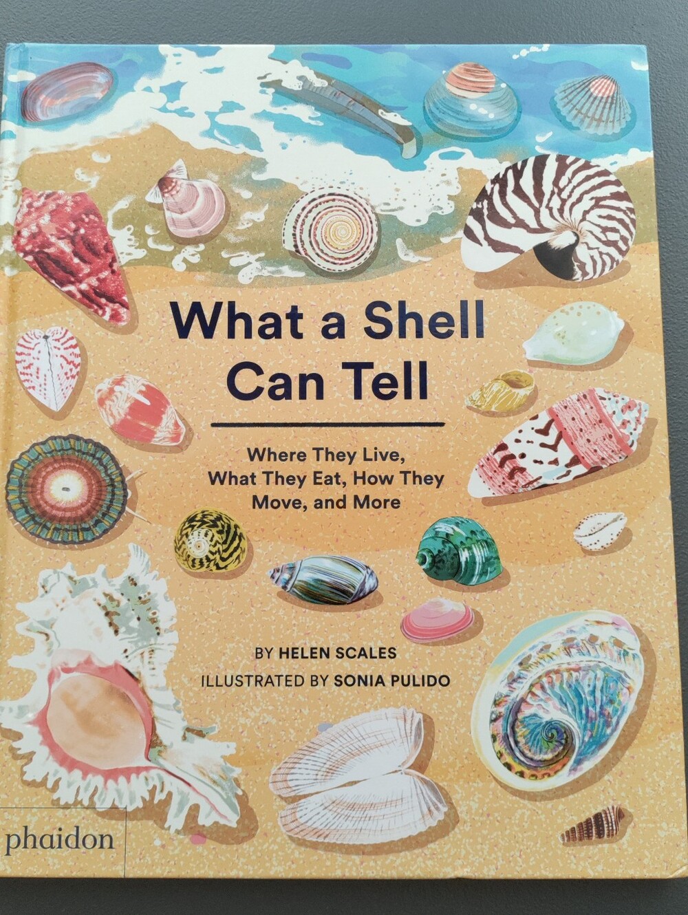 What a Shell Can Tell